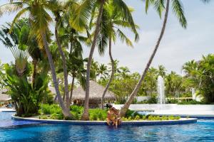 a couple sitting in the pool at the resort at Catalonia Punta Cana - All Inclusive in Punta Cana