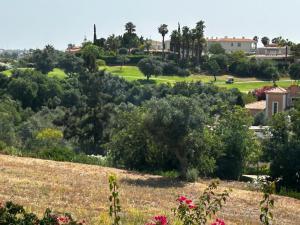 a view of a park with trees and houses at Patios do Algarve in Ferragudo