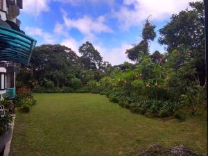 a garden with flowers and plants in a yard at Cozy Modern Quiet Garden in Tanah Rata