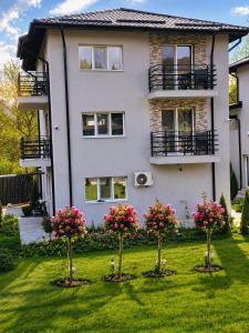 a house with three trees in the yard at Grey in Călimăneşti