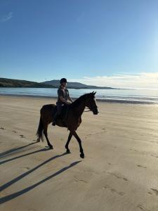 a woman riding a horse on the beach at Diamond View House in Letterfrack