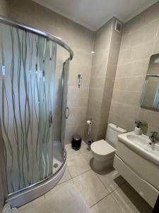 a bathroom with a shower and a toilet and a sink at Готель Пісня Гір in Ralevka