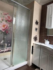 a shower with a glass door in a bathroom at Lux dvosoban stan u centru Bara in Bar +5 photos