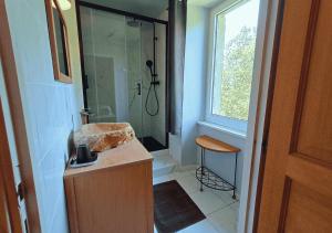 a bathroom with a shower and a sink at La Synchronicité - Chambres d'Hôtes in Vaudrimesnil +48 photos