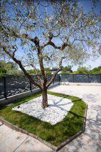 a tree in a circle of white gravel at Casa Terry in Ronchi dei Legionari