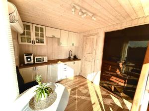 a kitchen with white cabinets and a potted plant at Kadaksalu with sauna hinnas in Ruu