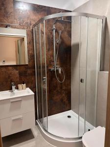 a shower with a glass door in a bathroom at Aura Pokoje na Wynajem in Wojnicz