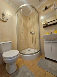 a bathroom with a shower and a toilet and a sink at Przystanek Żarnowska Domki in Żarnowska