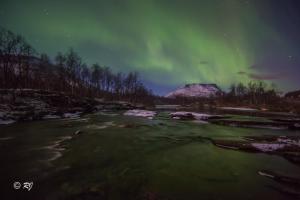 Afbeelding uit fotogalerij van Lapphaugen Turiststasjon in Tennevoll