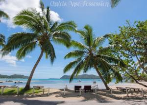 two palm trees and benches on a beach with the ocean at Chalets Anse Possession in Baie Sainte Anne