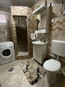 a bathroom with a toilet sink and a washing machine at Apartment VUK in Žabljak +19 photos