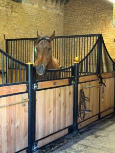 a horse is sticking its head over a fence at Maison de vacances avec piscine chauffée, jacuzzi et jardin privé - proche circuit des 24h du Mans in Saint-Christophe-en-Champagne