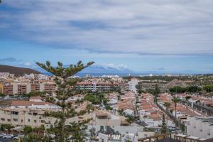 a city with buildings and a tree in the foreground at Noemi Blu Tenerife in Los Cristianos +30 photos