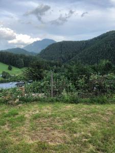 a field with a fence in front of a mountain at cozy alpine house in Breitenstein