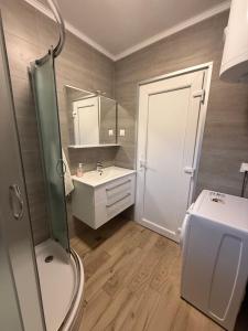 a bathroom with a shower and a sink and a toilet at Apartment Kristijan in Pag +14 photos