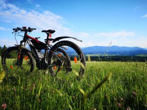 a bike parked in a field of grass at Ferienwohnung Erhard in Schönberg