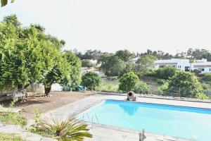 a large swimming pool in a yard with trees at Casa do Sol Wellness Home in Óbidos