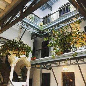 a building with potted plants on a balcony at Apartamentos Larga 70 in El Puerto de Santa María