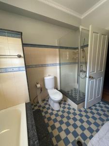 a bathroom with a toilet and a shower and a tub at Villa To Petrino in Vathís