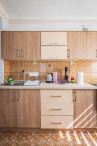 a kitchen with wooden cabinets and a sink at Markovi A&V in Gevgelija