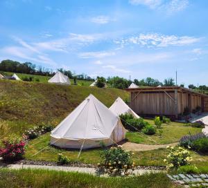 a group of tents in a grassy field at Resort Oblík - Luxusní stanové městečko in Raná