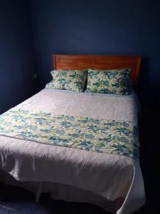 a bedroom with a bed with a blue wall at Kauaraki Henua Iti in Hanga Roa