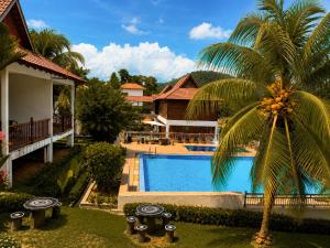 a palm tree in front of a swimming pool at Tekoma Resort Taman Negara in Kuala Tahan