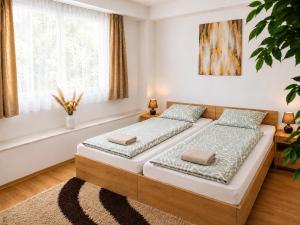 a bedroom with two beds and a window at Clementine Apartman by Flats4You in Százhalombatta