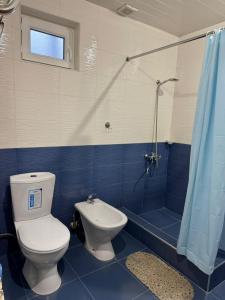 a bathroom with a toilet and a shower at Narek B&B in Goris +70 photos