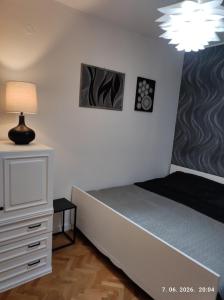 a bedroom with a bed with a lamp and a dresser at Ksandra in Topla
