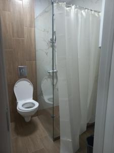 a bathroom with a toilet and a glass shower at Рока Ресиденс 1 in Ravda