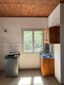 a kitchen with a sink and a window at Avgoustina Venus Studios in Benitses