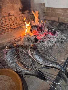 a grill with a fish in front of a fire at Campus el abuelo in Denia