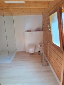a bathroom with a toilet and a glass shower at Ferienhaus Mit Blick auf die Müritz in Rechlin