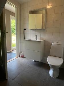 a bathroom with a toilet and a sink at Toarp Inn free parking in Malmö +23 photos