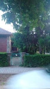 a house with a green fence and a tree at Marinel in Vršac +12 photos