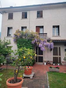 a house with a tree with purple flowers in front of it at La Casa di Giovanni B&B in Romano D'Ezzelino +5 photos