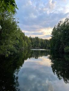 a view of a river with trees on the shore at Forest & Lake PEI Cottages in Murray Harbour +18 photos