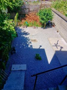 a garden with blue gravel and plants on the ground at Sisters home in Marcinelle