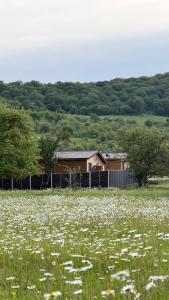 a field of flowers in front of a house at Tianeti Apple Cottages in Churchelaurebi