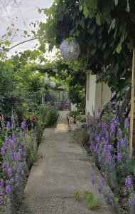 a path through a garden with purple flowers at Iancina House & Art Gallery in Salcioara