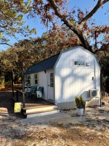 a white shed with a porch and a deck at Lemon Drop in Homosassa +5 photos