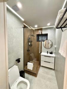 a bathroom with a toilet and a sink and a mirror at Hotel Alto in Karakol