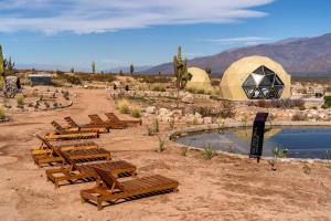a group of wooden benches sitting in the desert at Glamping Astrapia - Cafayate in Cafayate