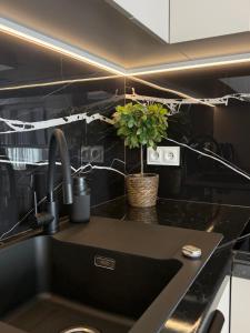 a kitchen with a sink and a plant on a counter at Apart CRYSTAL in Tomaszów Mazowiecki
