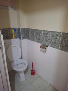 a bathroom with a white toilet in a room at Liaden 2 Bedroom Apartment in Nairobi
