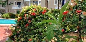 a bush with red flowers next to a pool at Hotel Garden Flora Punta Cana Beach in Punta Cana +32 photos