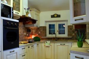 Kuchyň nebo kuchyňský kout v ubytování Apartment Splendid