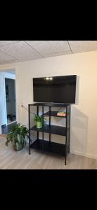 a black shelf with two potted plants in a room at Hørballegård in Skanderborg