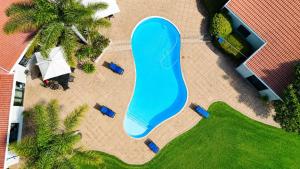 an overhead view of a large blue swimming pool at Myrtle Leaf Apartments in Springs